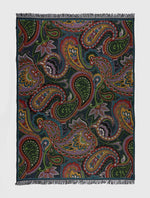 Multi 15th Anniversary Paisley Blanket